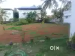 Tripunithura. Puthyakavu. 500.mi