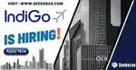 Indigo Airlines jobs /Vacancy for Airport Ground staf / Driver / Crew