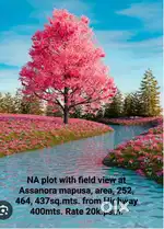 NA plots Assanora mapusa