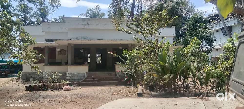 House, land