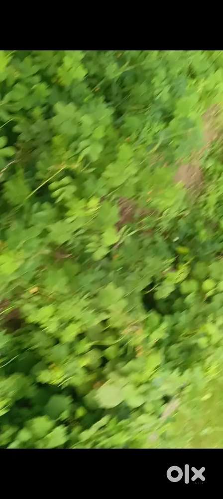 कही भी किसी भी एरिया में प्रॉपर्टी के लिए संपर्क करे