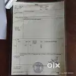 Seller the plot