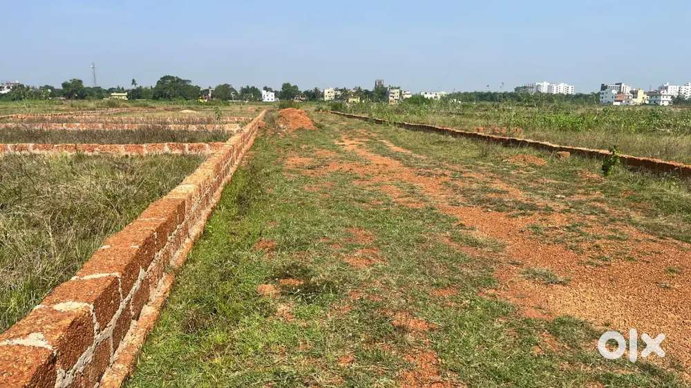 Invest in Peace: Gated Farmhouse Plots Near AIIMS
