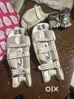 Cricket kit with bag