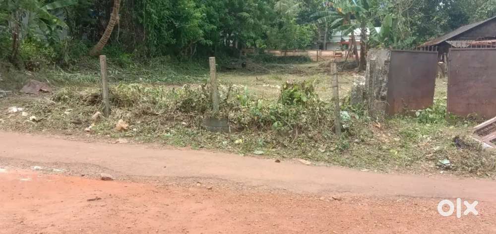 18 Cent square plot for sale at Marathamcodu