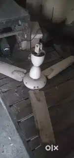 ceiling Fan in Perfect Working Condition | Classic Charm + Fine Finish