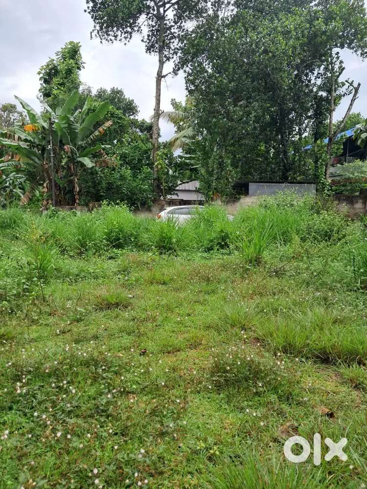 23.5 cents rectangle plot for urgent sale near Toll plaza Parippally