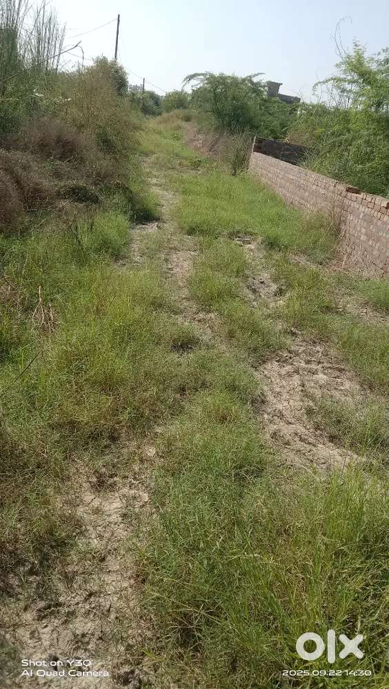 ਫਰੀਦਕੋਟ ਅੰਗਦ ਨਗਰ ਪਲਾਟ ਵਿਕਾਊ ਹੈ