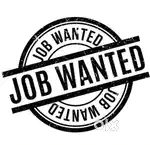 Wanted accountant