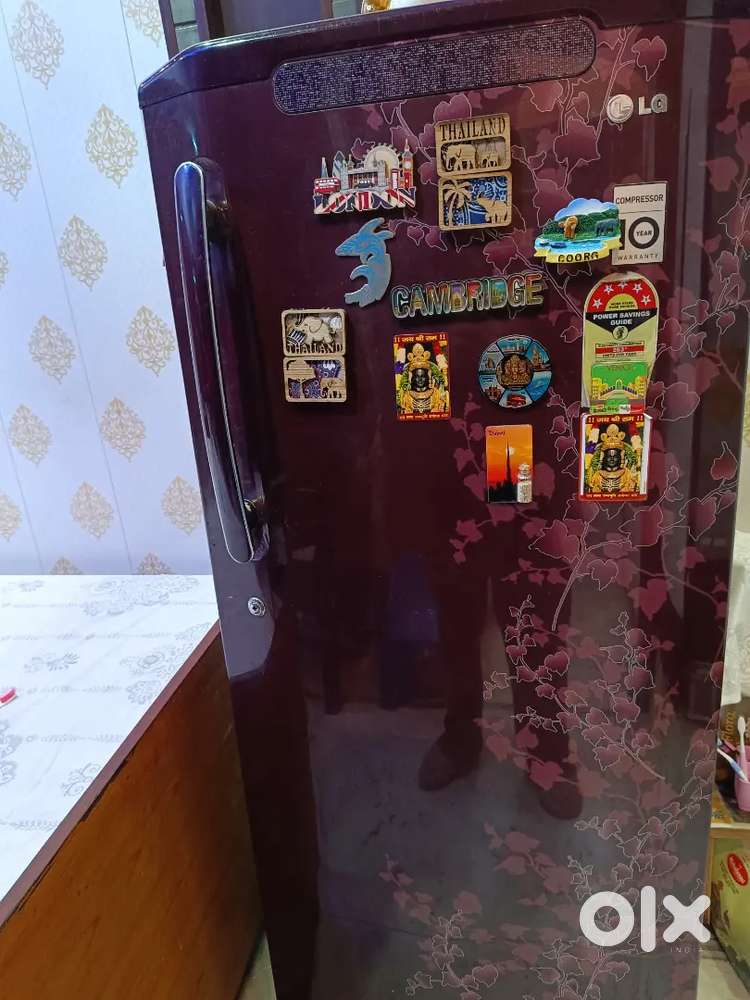 LG 270L Single Door Refrigerator - Excellent Condition