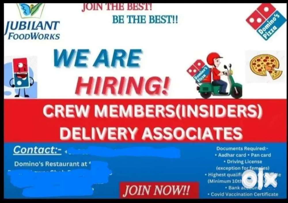 Need Delivery Excutive