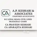 Accounting  audit
