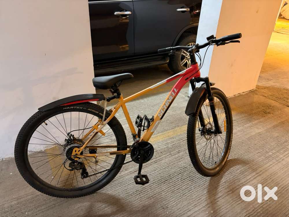 Schnell Holts 21 speed Gear