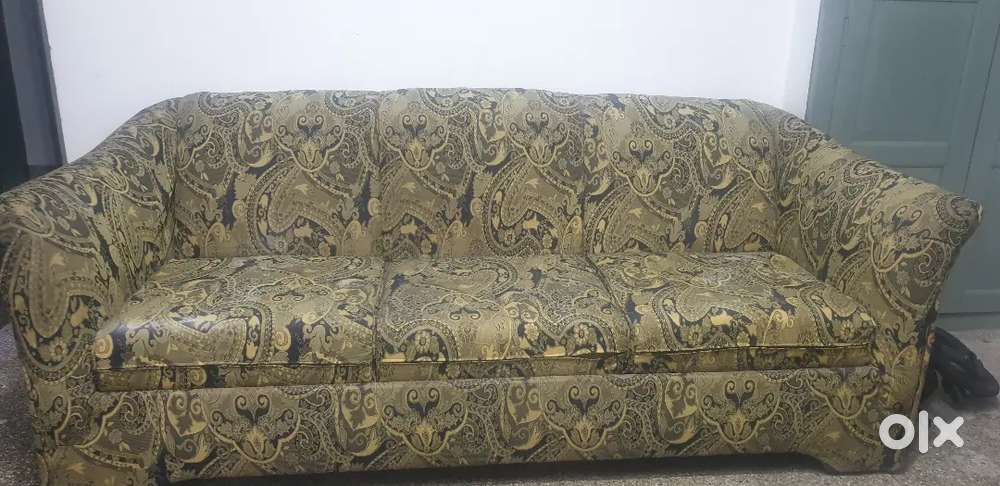 German imported sofa come bed