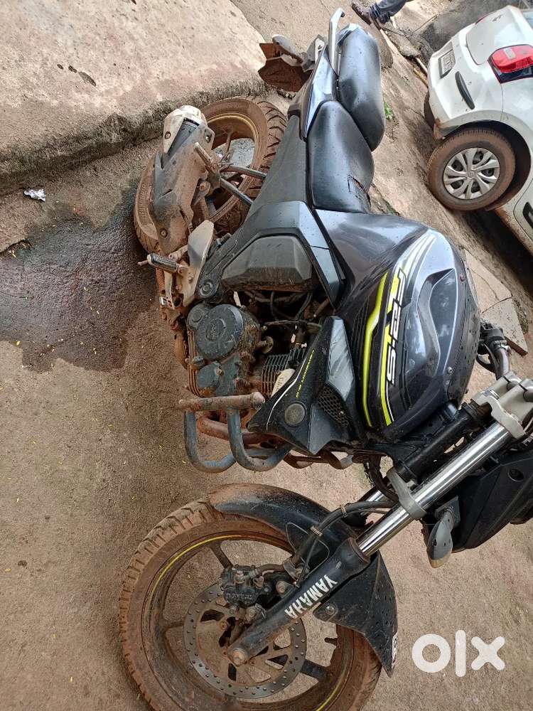 Sell urgent koi Kam nai