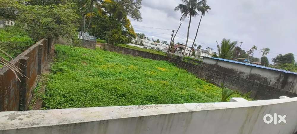Residential Land for Sale at Thirumuppam, Kochi