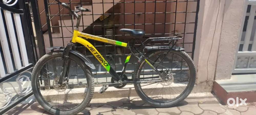 Cycle with Strong Body