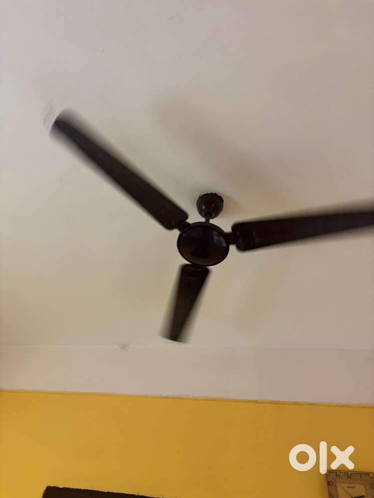 2 Ceiling Fans