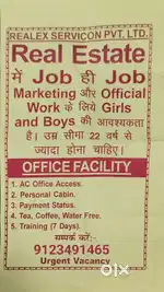 Realex servicon pvt Ltd me job  Boy's or Girl's ke liye