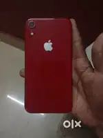 I phone xr