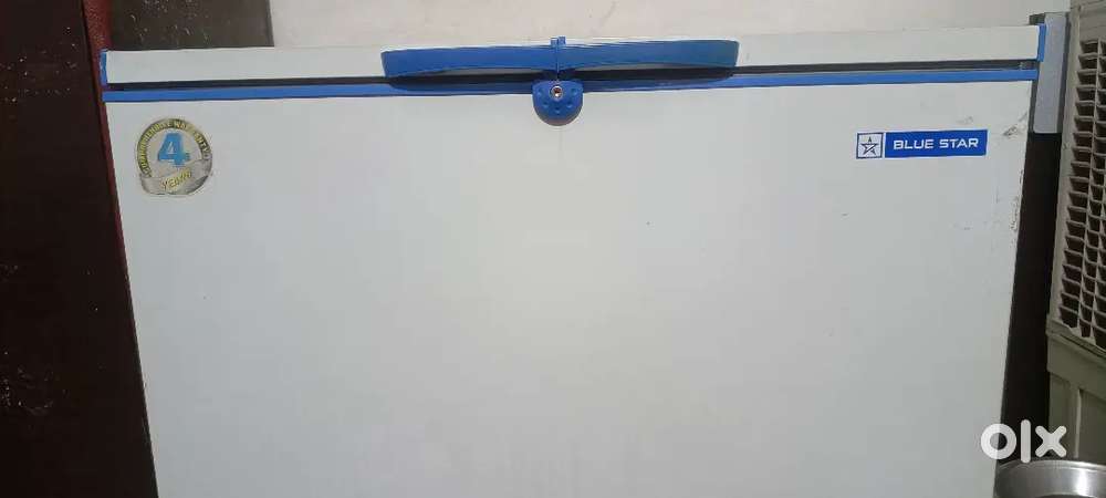 Blue Star 300ltr double door deep fridger with 3 years warranty