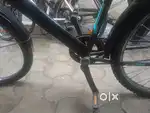 Kross cycle single speed