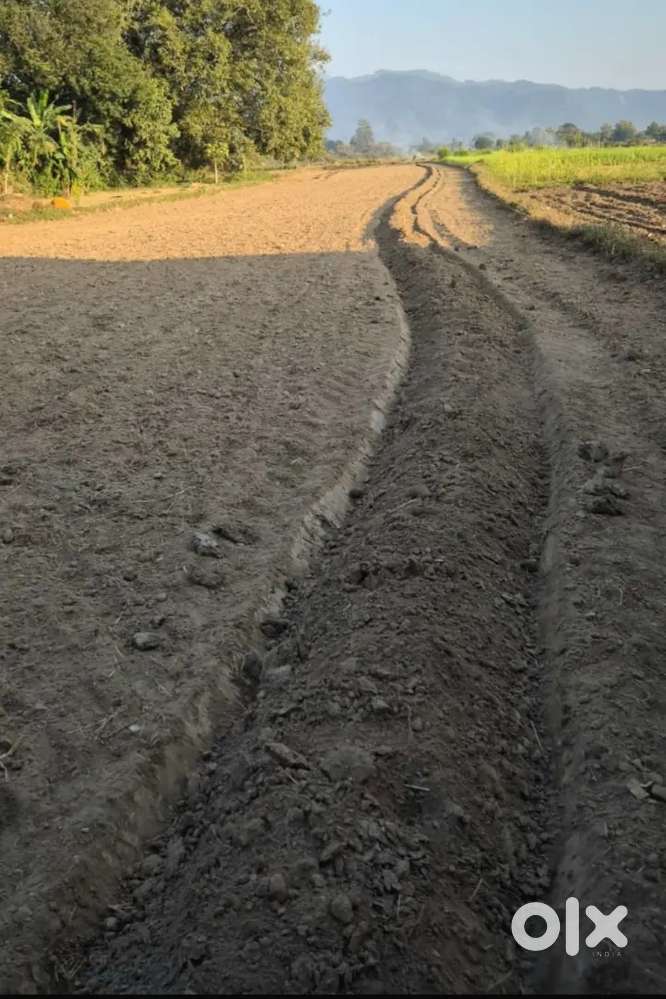 4 bigha land for sale (kotabagh)