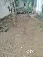 We are selling the plot of 146 square yards in mallammapeta, bobbili