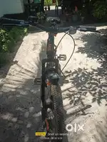 Beast addo cycle