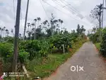 50-Cent Scenic Plot for Sale in Vaduvancal, Wayana