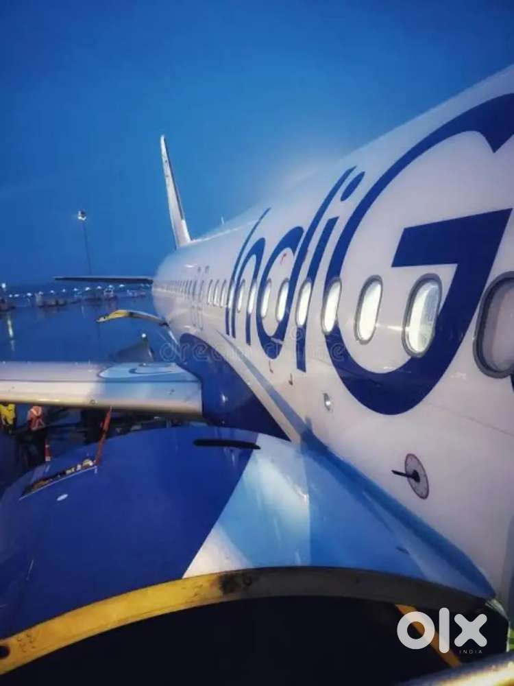 Hiring for ground staff job in Indigo airline nearest Airport