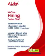 sales excecutive