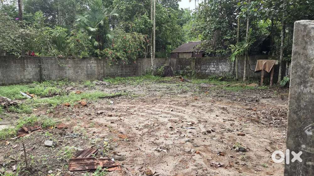 5 cent plot Cherthala KSRTC bus stand കിഴക്കുവശം