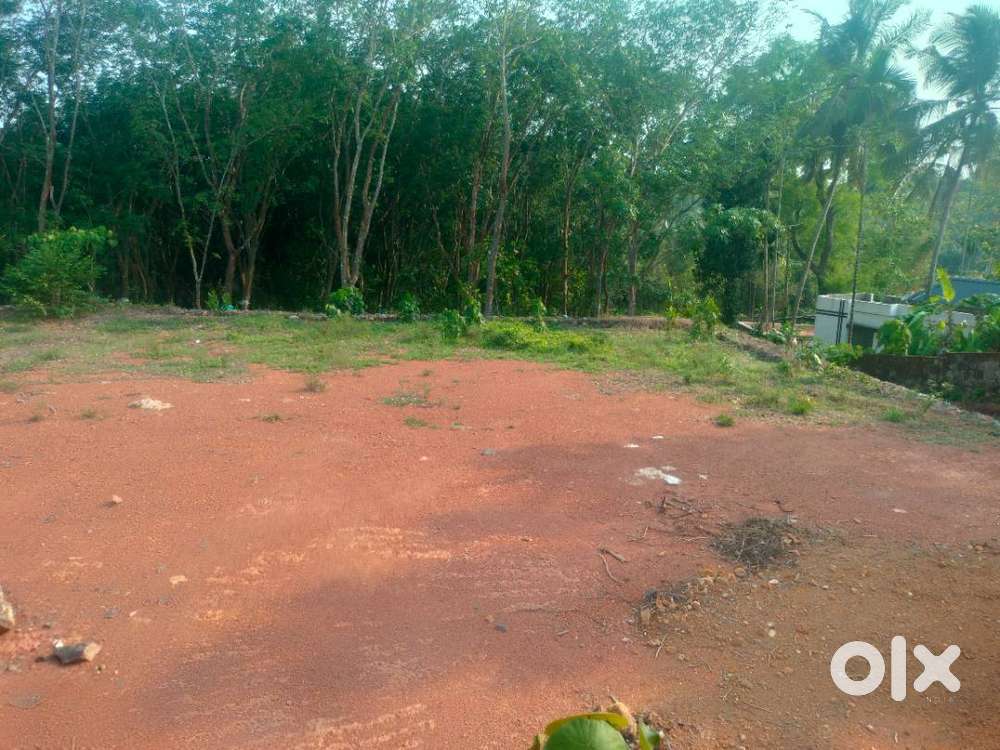 PLOT FOR SALE IN RESIDENTIAL AREA NEAR THIRUVANKULAM,KOCHI