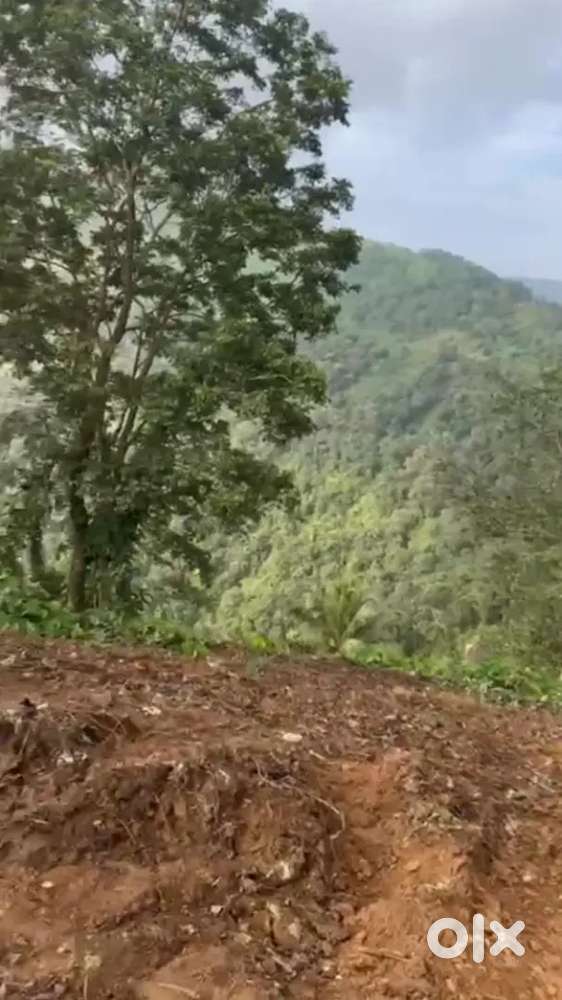 Thudupuzha IIIIKKAL kallu 4.5Acer beautiful land for sale