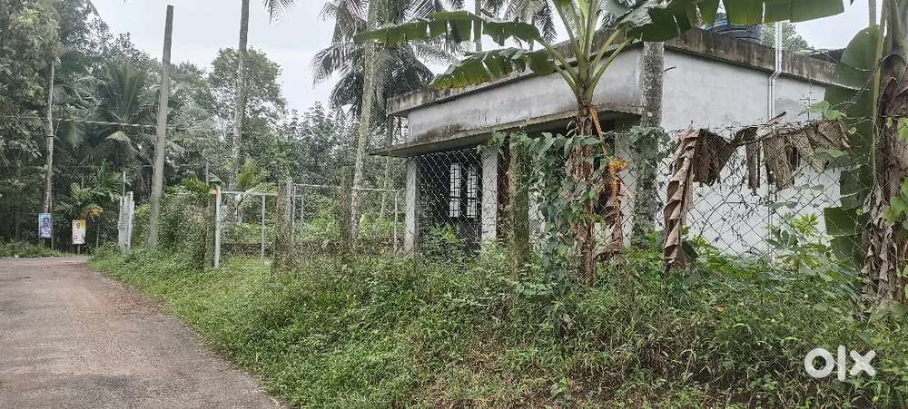 Good property for agriculture and housing