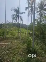 9 acres Land For sale at PADIYOTTUCHAL CHERUPUZA