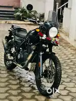 bike is mint condition not single dent pr accidentale
