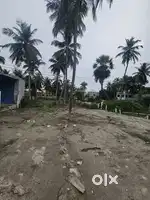 20 cent with Commercial  land