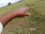 Plot is for selling in indewadi perfect for your raw house