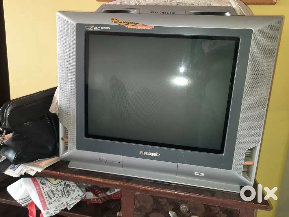 Television