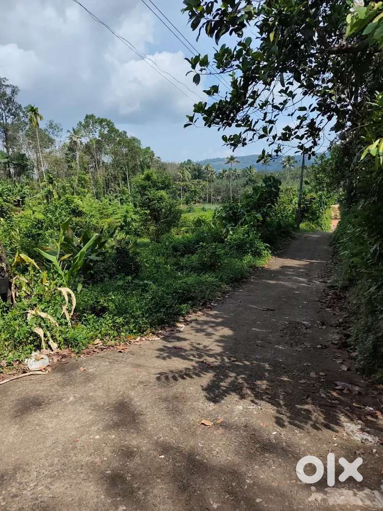 Kothamangalam paingottoor Thennathoor premium house plots for sale