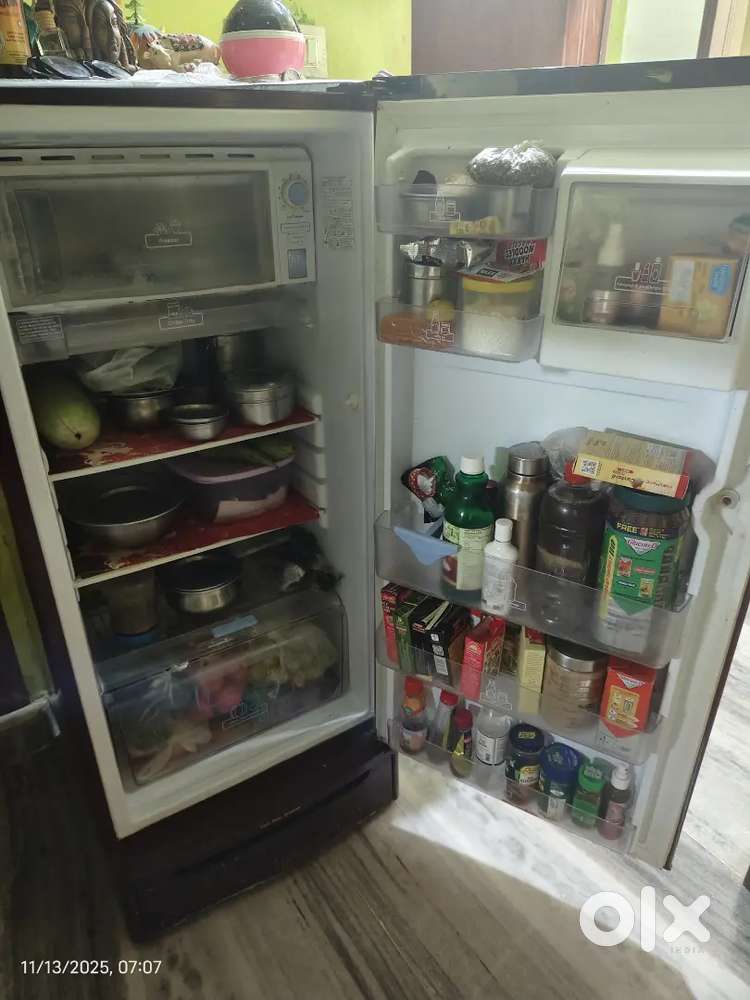 Electrolux Refrigerator single door