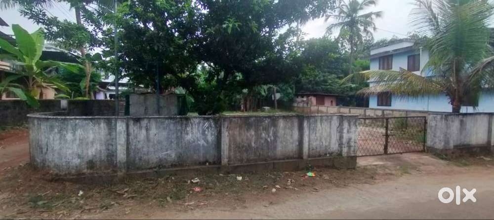 Residential land-10 cent for sale in Kuttoor , Thrissur