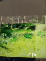 Land for sale at Oottupara.
