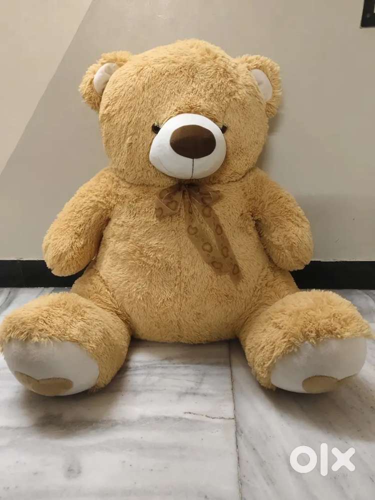 Soft teddy big size 2.5ft