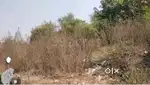 Want to sell my plot.