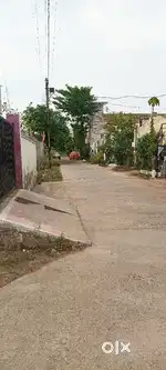 Build your dream house.