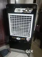Cooler 6 month old