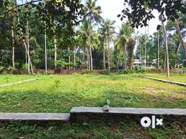 7 cent Residential Land For sale Kidagoor Angamaly